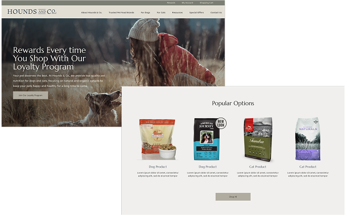 SPARK Case Studies LosLagos Hero 1